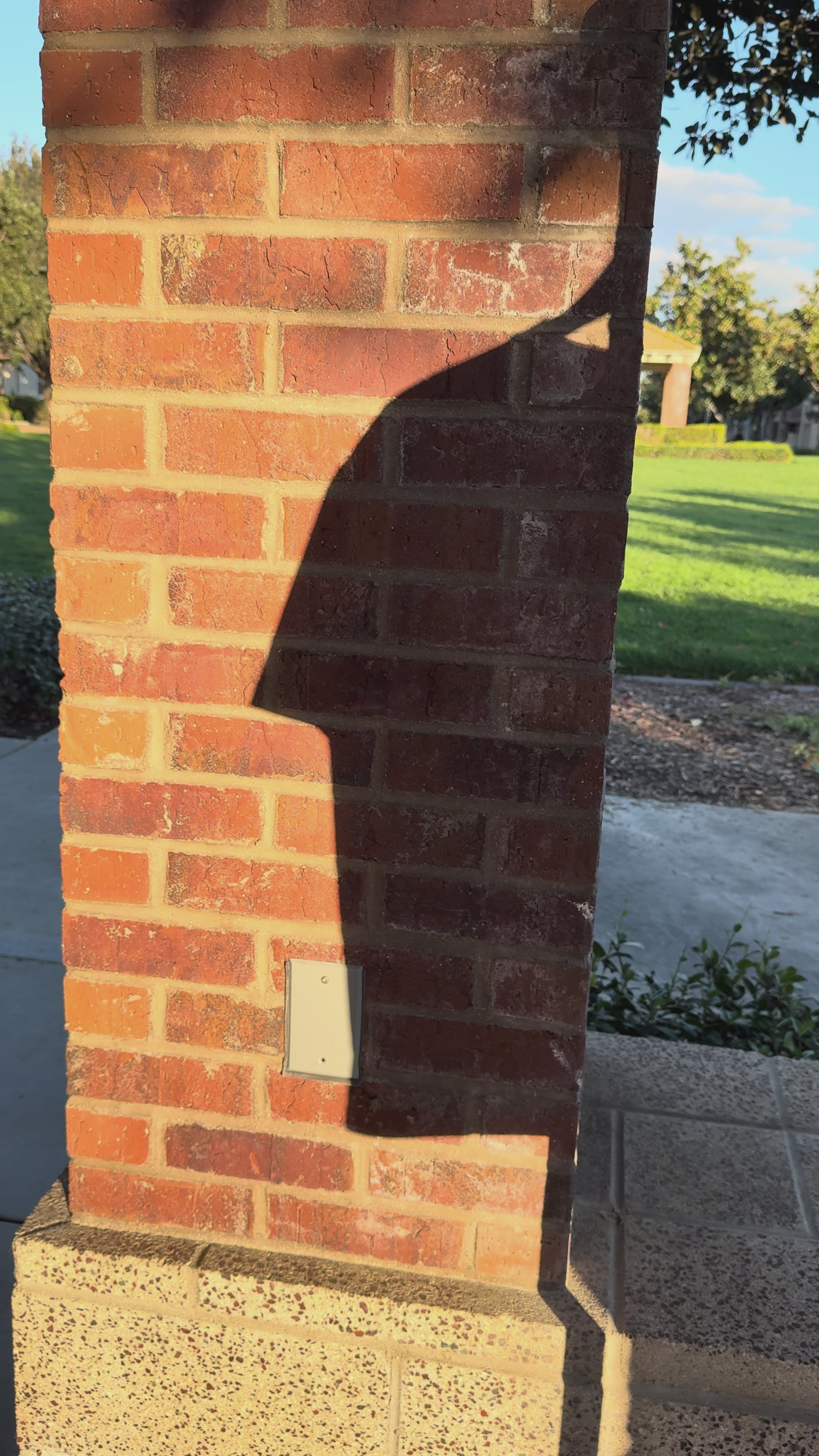 Elástico Society T-Shirt